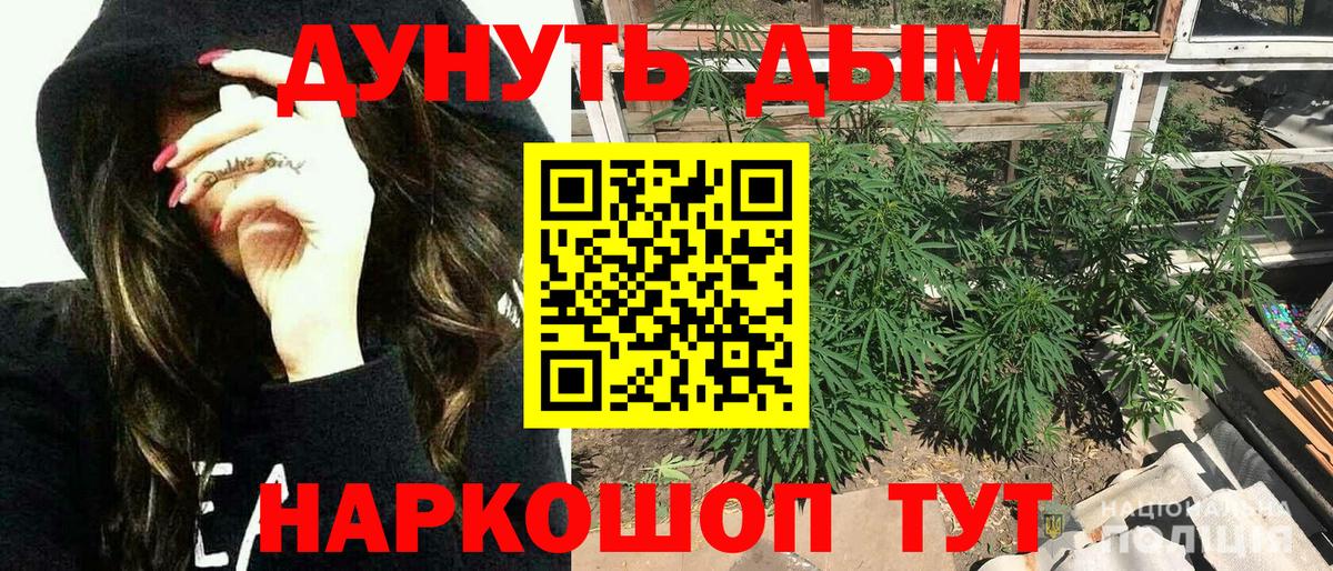 Большой Камень  Бошки Шишки OG Kush  Вход с VPN  Каннабис Bruce Banner 